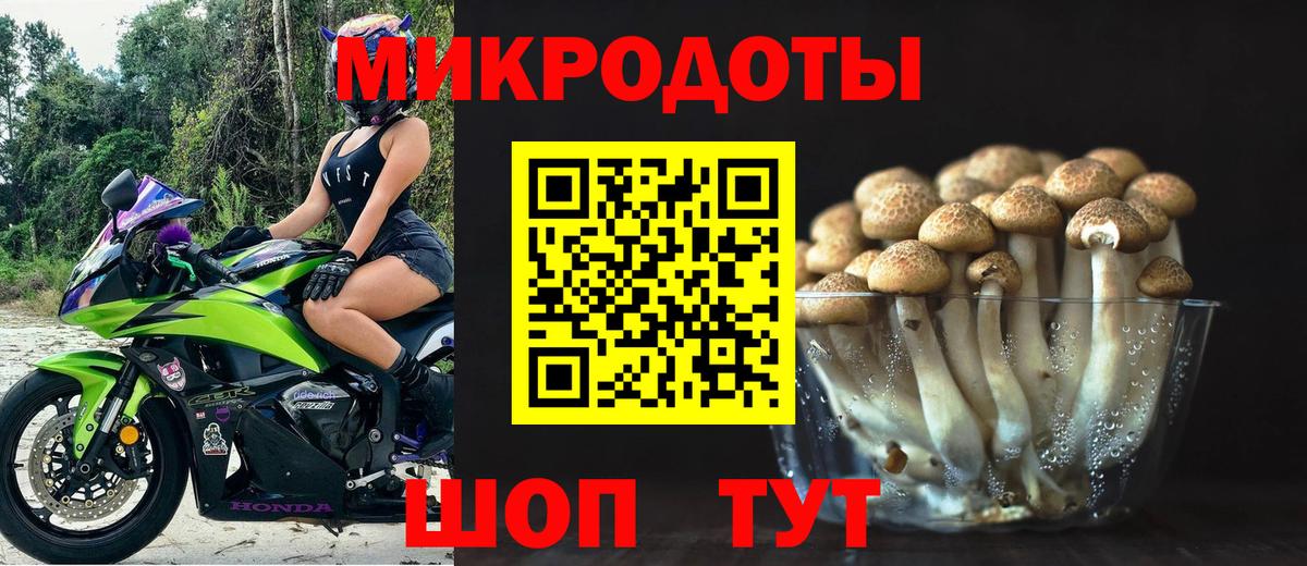 Галлюциногенные грибы Psilocybine cubensis  Псилоцибиновые грибы мицелий  Губаха  даркнет сайт  Вход с VPN 