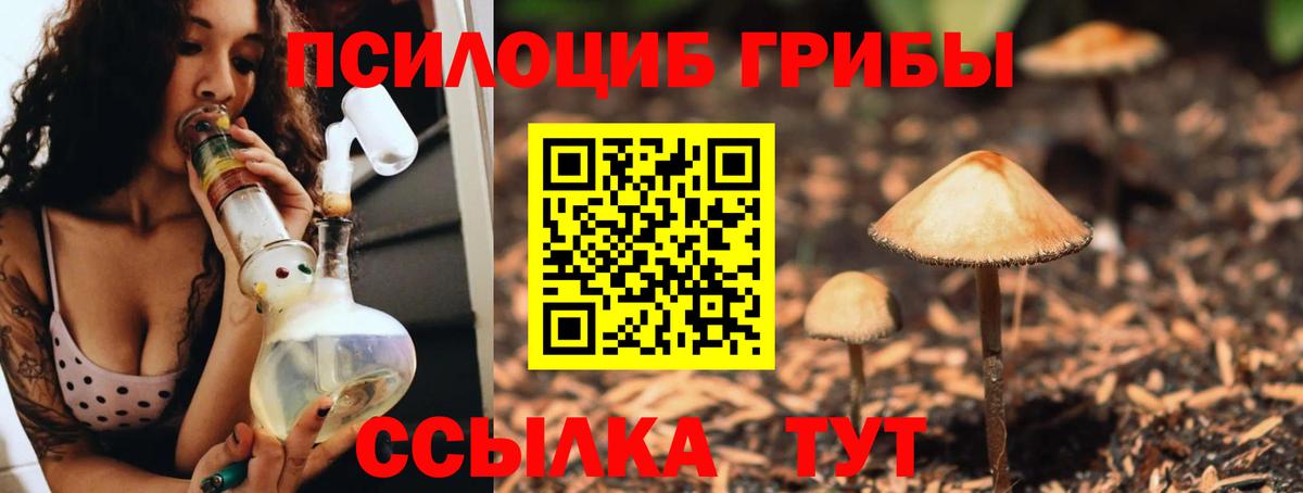 Галлюциногенные грибы Cubensis Губаха